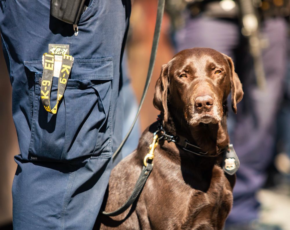 Zooming Through June